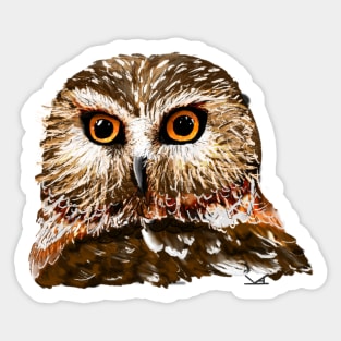 Saw Whet Owl Sticker